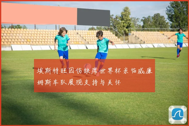 埃斯特旺因伤缺席世界杯亲临威廉姆斯车队展现支持与关怀